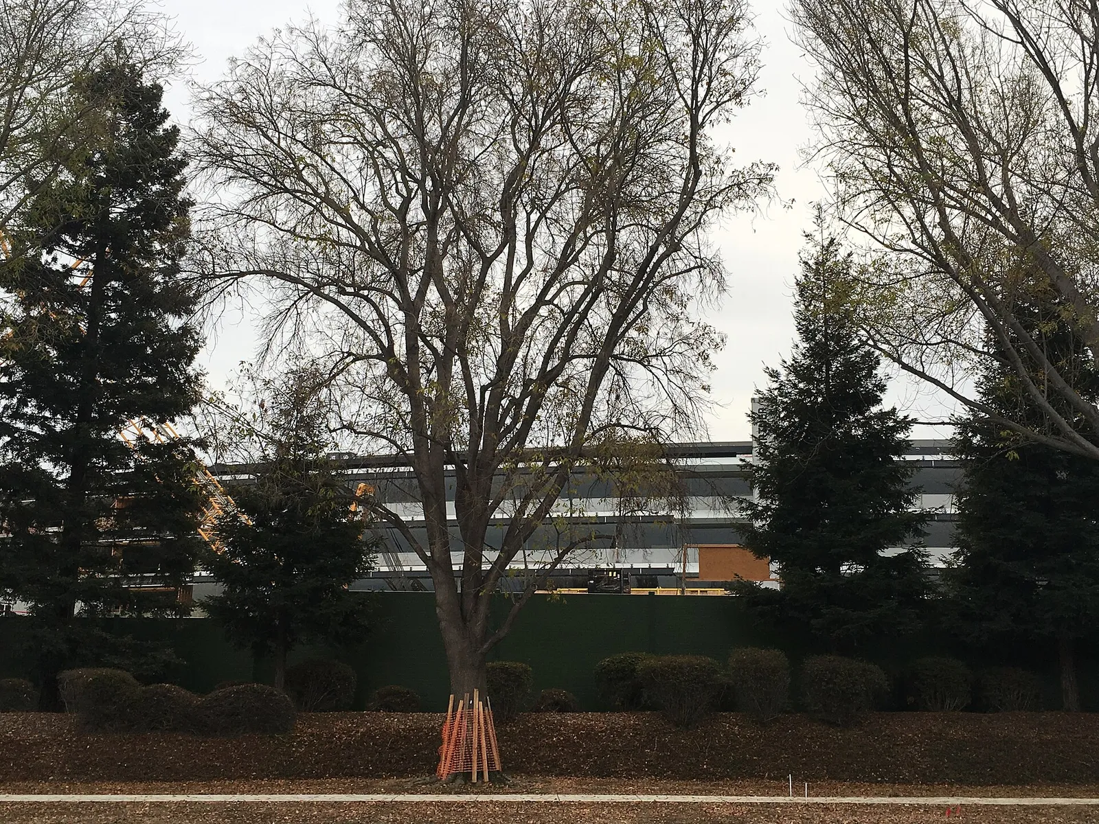 Apple Park, la sede de Apple en Cupertino (California)