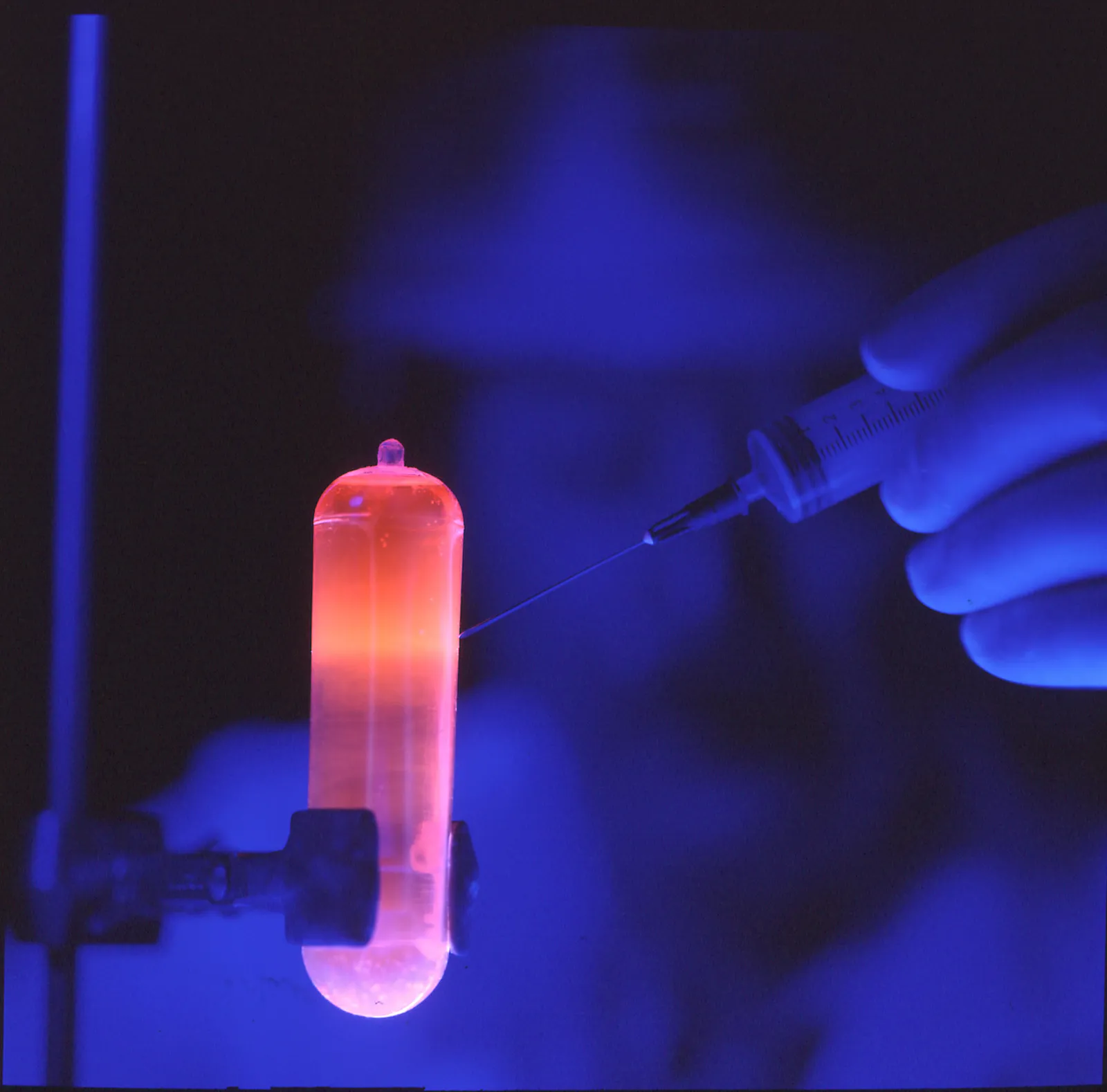 Trabajo con ADN en un laboratorio (imagen ilustrativa)