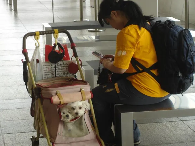 Dos perros pequeños en una feria de mascotas en Tokio (imagen de archivo)