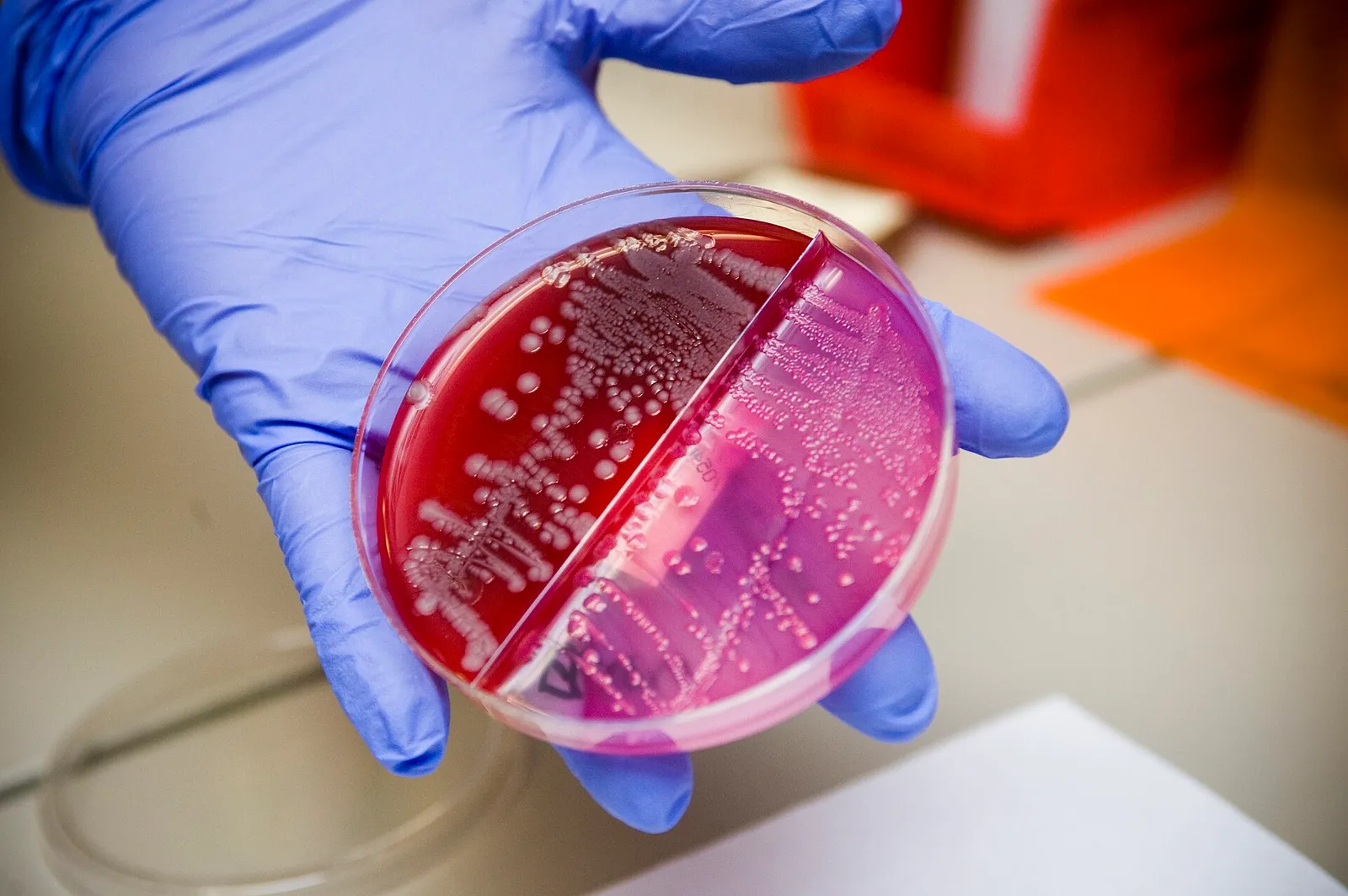 Investigación en un laboratorio