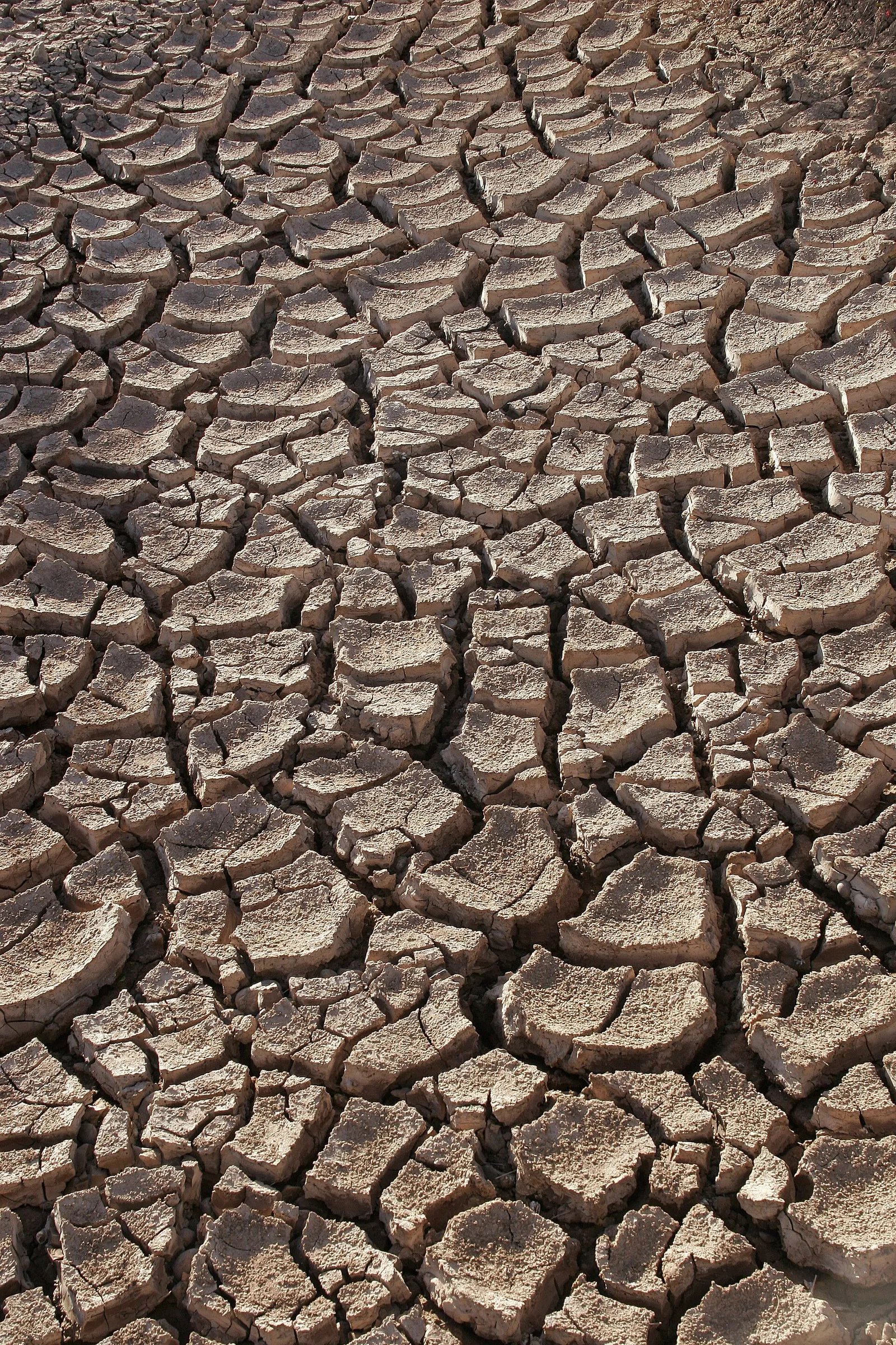 Tierra agrietada por la sequía y el calor (imagen ilustrativa)