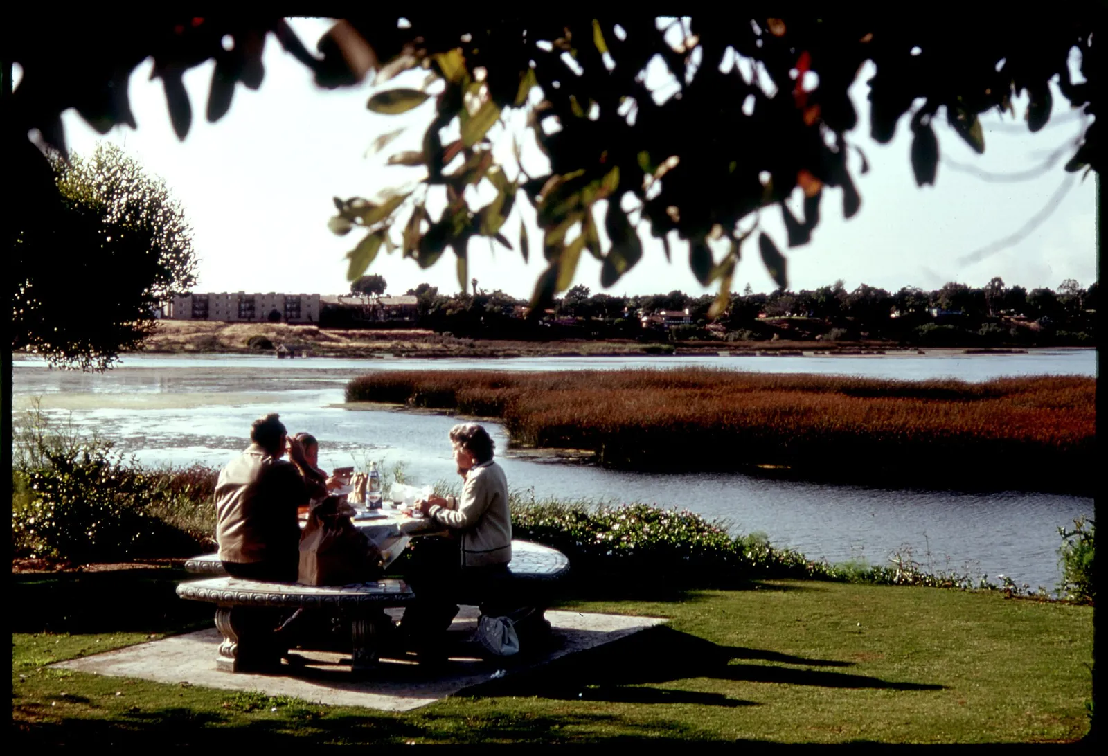 Una familia disfruta de un día de campo al aire libre (imagen de archivo)
