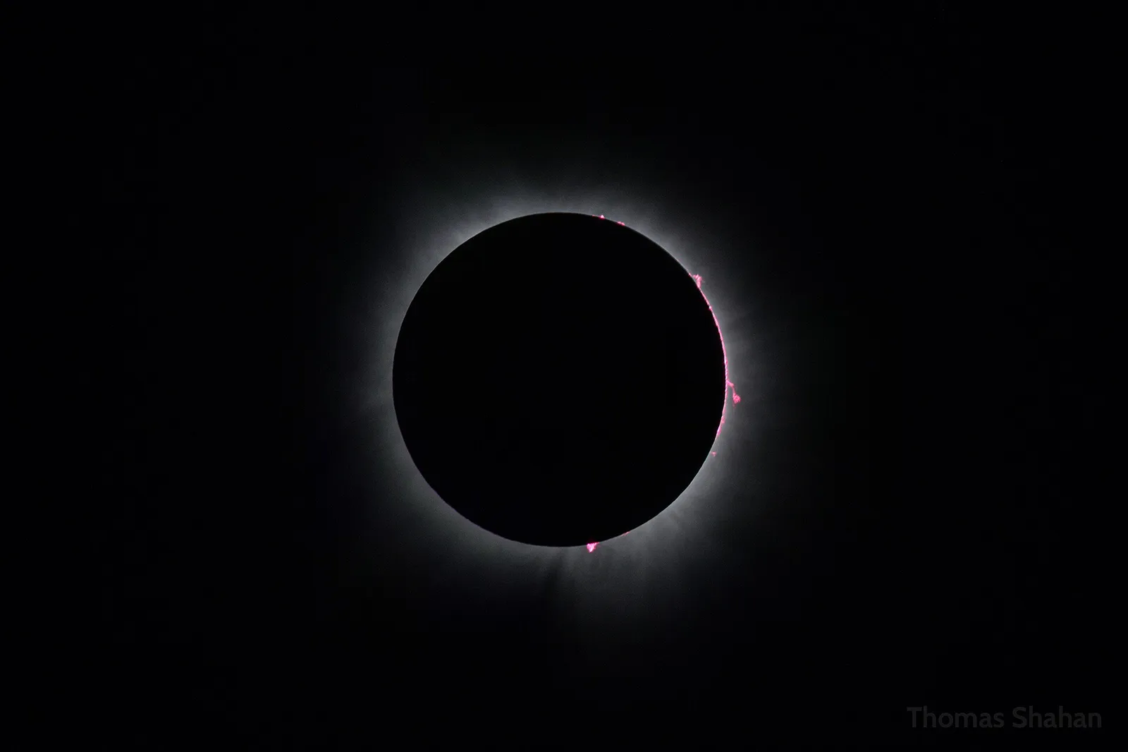 La corona solar rodea el disco negro de la Luna durante la totalidad de un eclipse