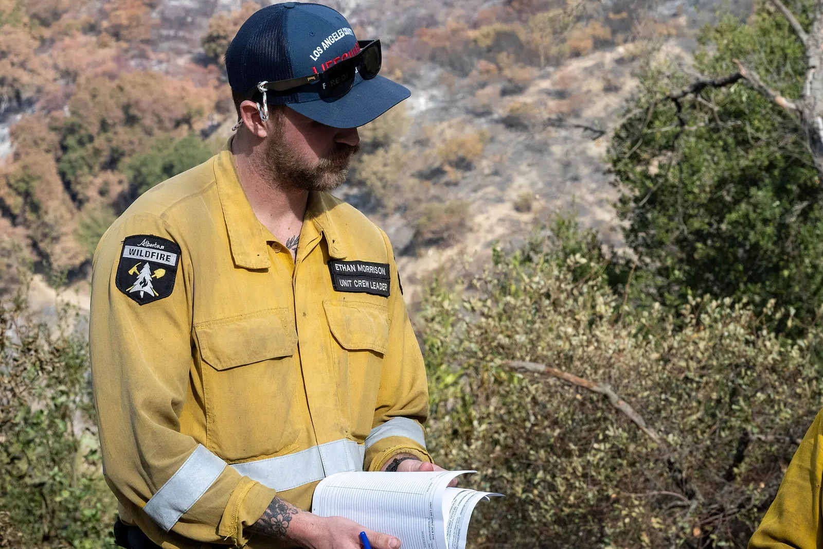 Bomberos forestales ante un incendio (imagen de archivo)