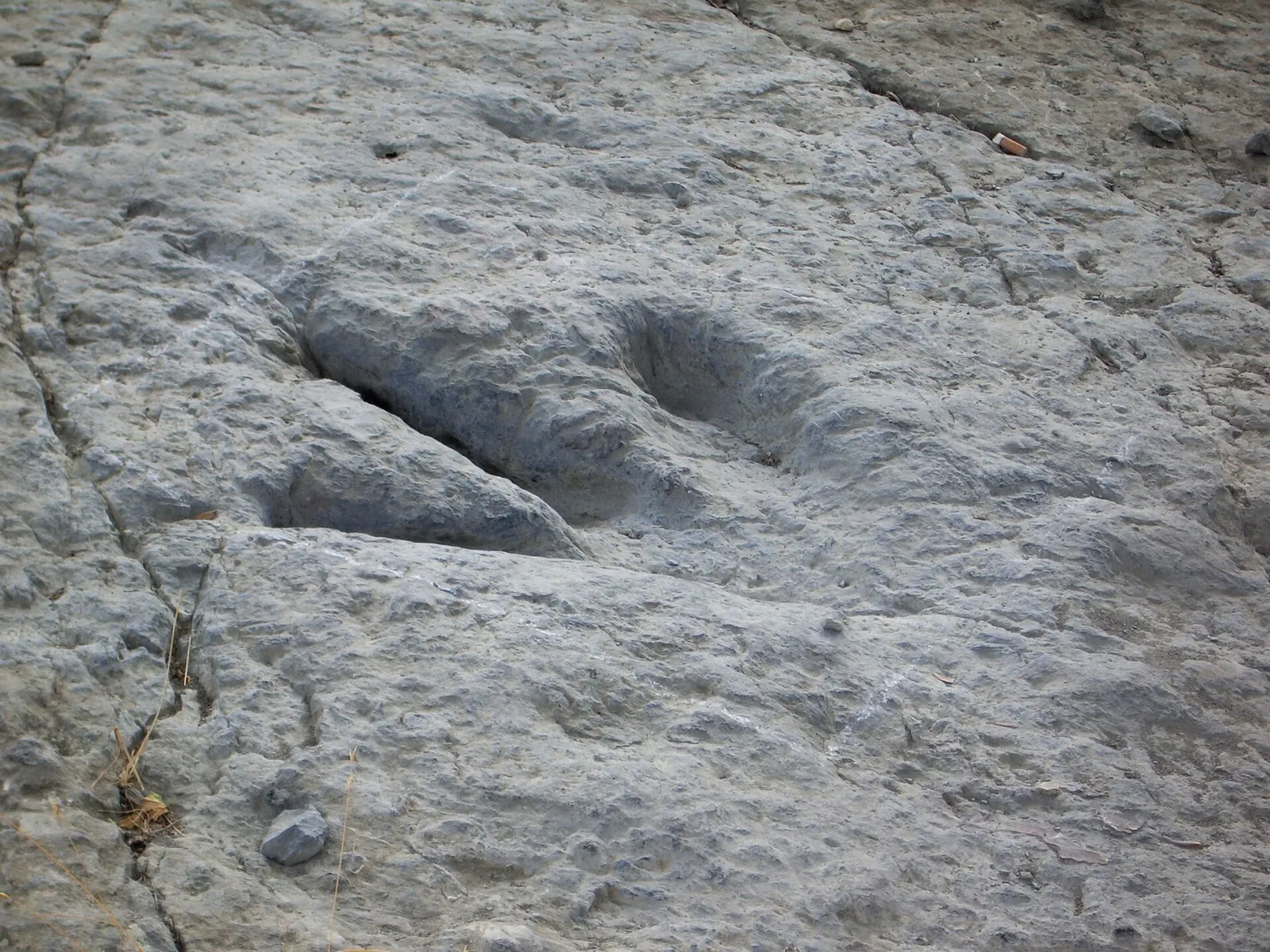 Detalle de una huella de dinosaurio fosilizada en Enciso, La Rioja