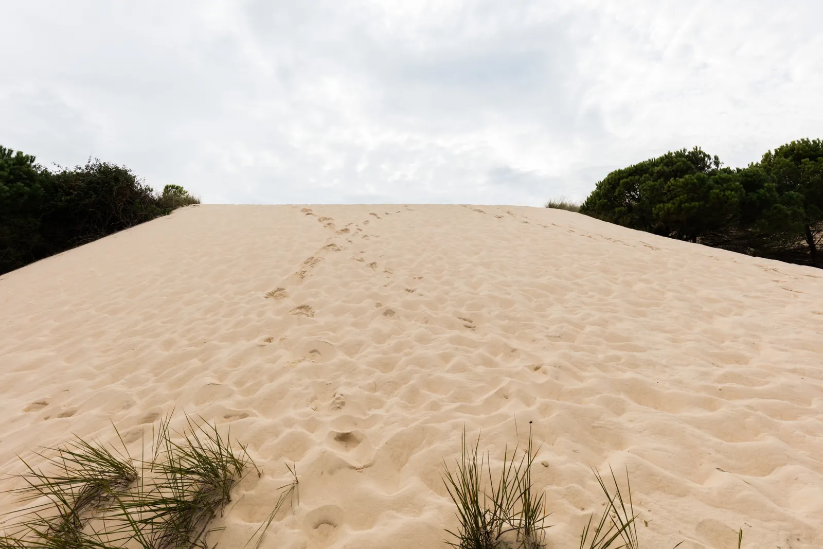 Paisaje de marisma en el entorno de Doñana
