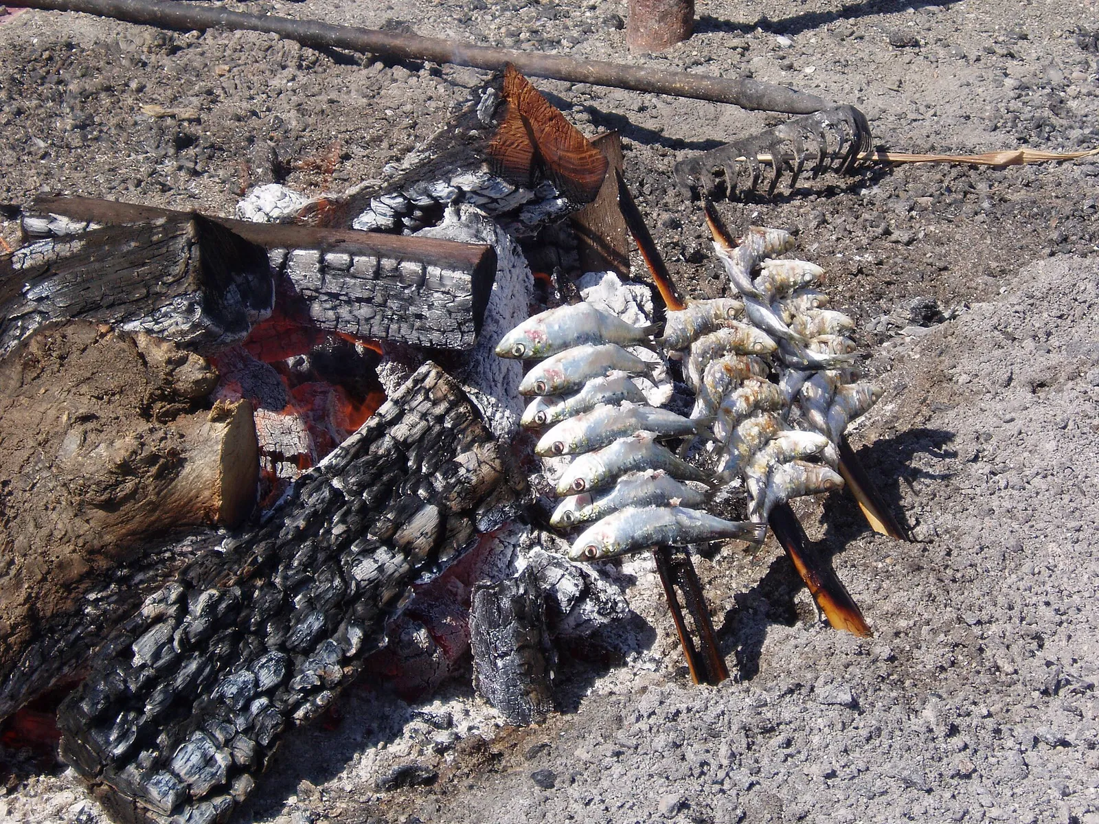 Un espeto de sardinas asándose en una playa de Torre del Mar (Málaga)