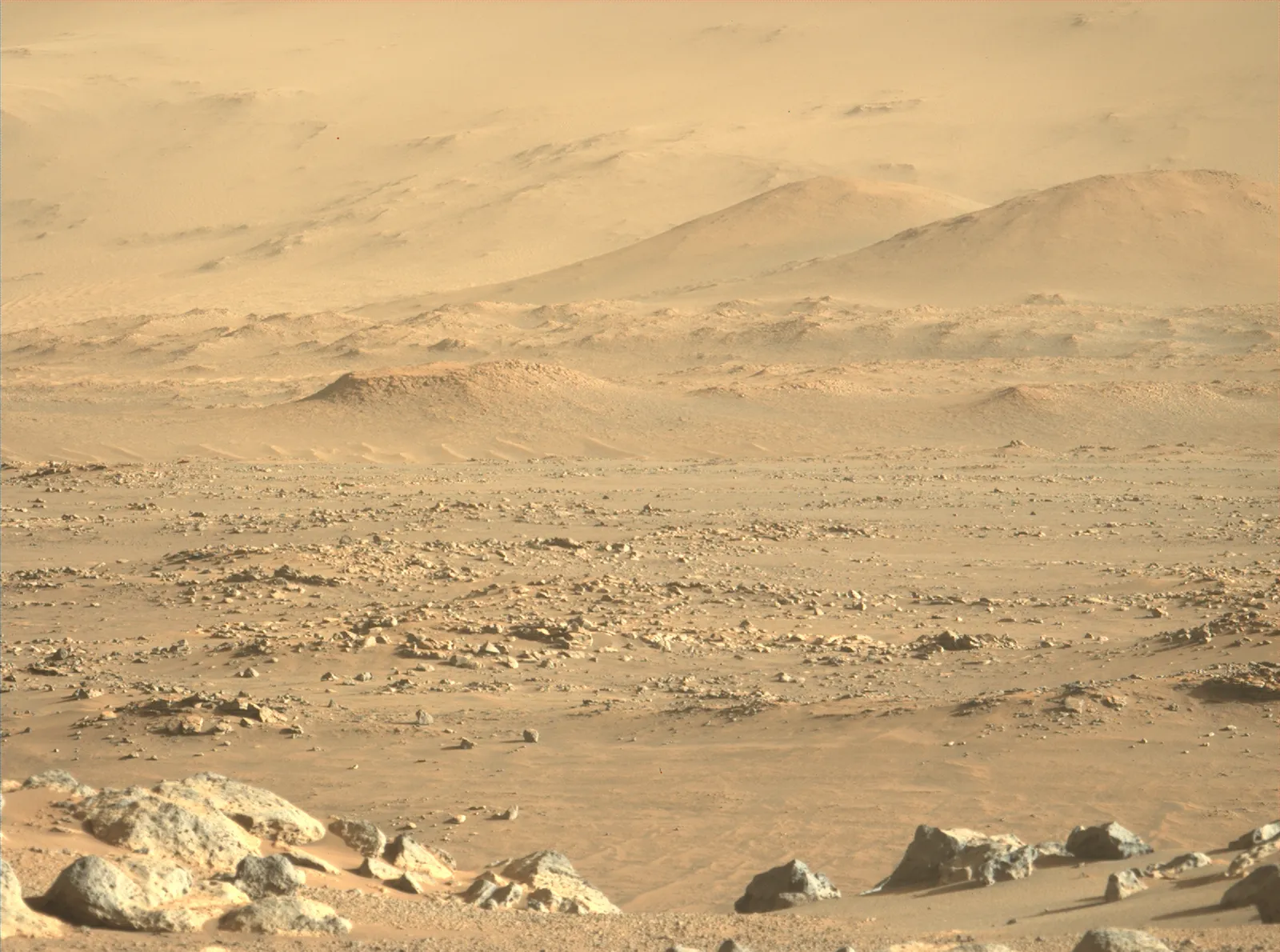 Superficie del cráter Jezero de Marte, captada por el rover Perseverance