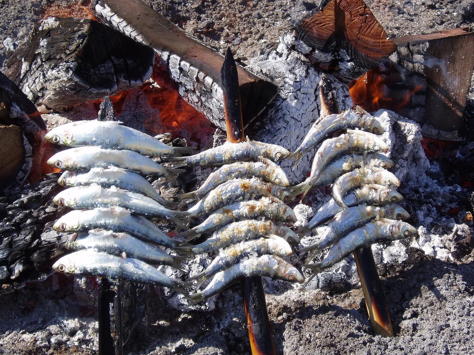 Espeto de sardinas asándose en la playa (imagen de archivo)
