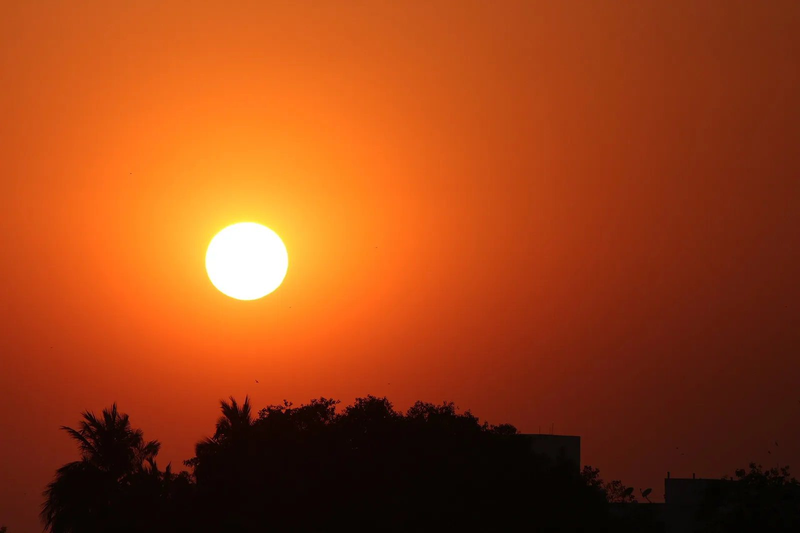 El sol brillando con fuerza en un cielo despejado