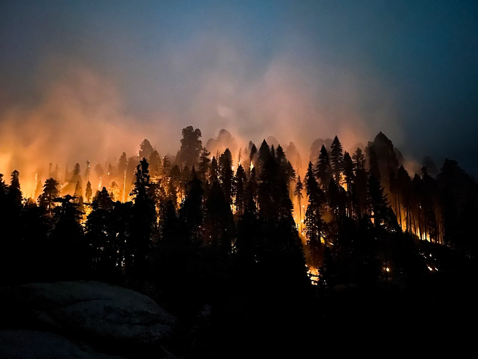 Un incendio forestal de gran intensidad (imagen de archivo)