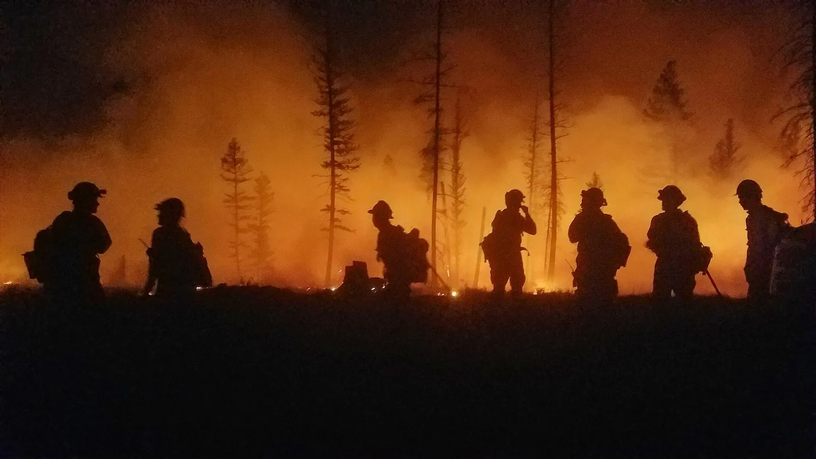 Bomberos trabajando de noche en un incendio forestal