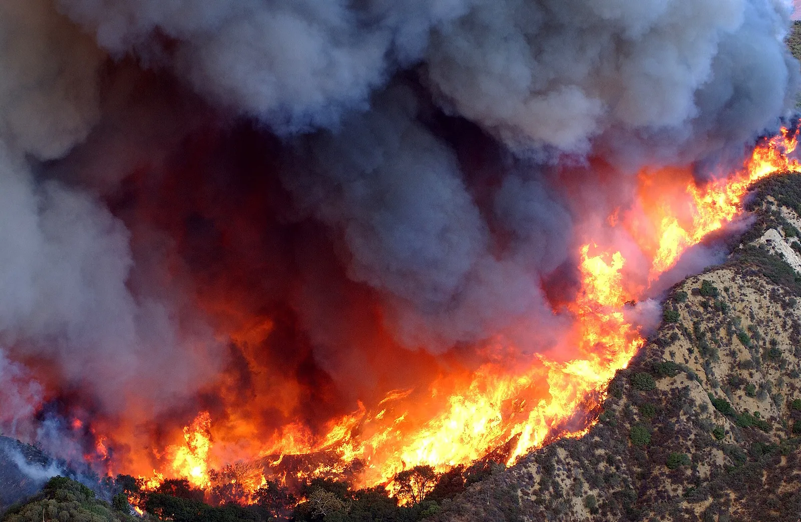 Un incendio forestal avanza por una ladera (imagen de archivo)