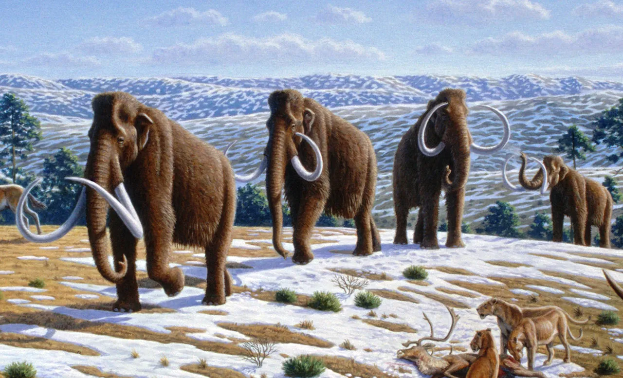 Ilustración de un mamut lanudo (Mammuthus primigenius)