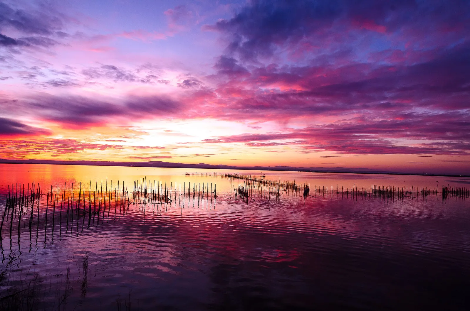 Atardecer sobre el lago de la Albufera de Valencia