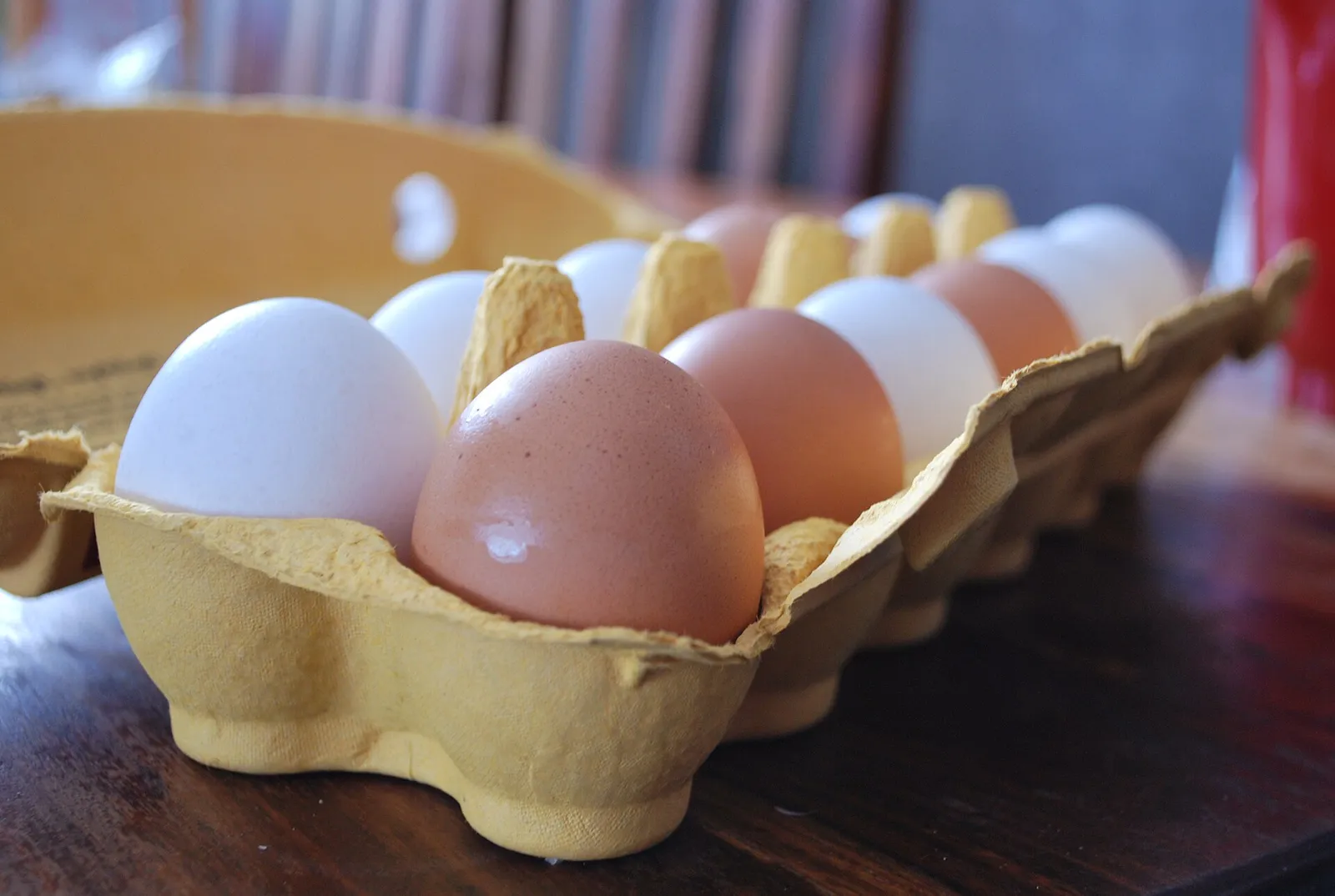 Huevos blancos y marrones juntos