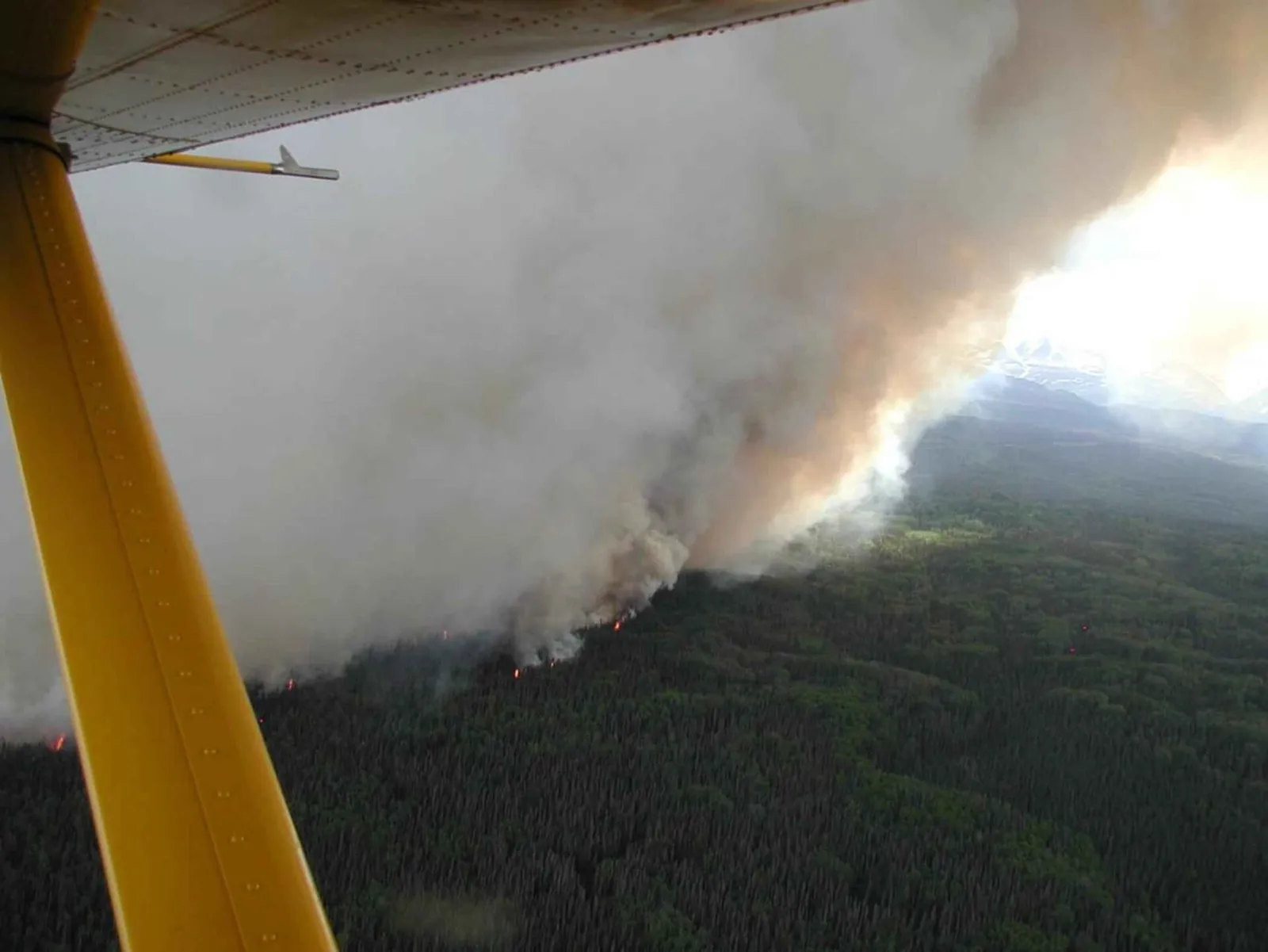 Columna de humo de un incendio forestal (imagen de archivo)