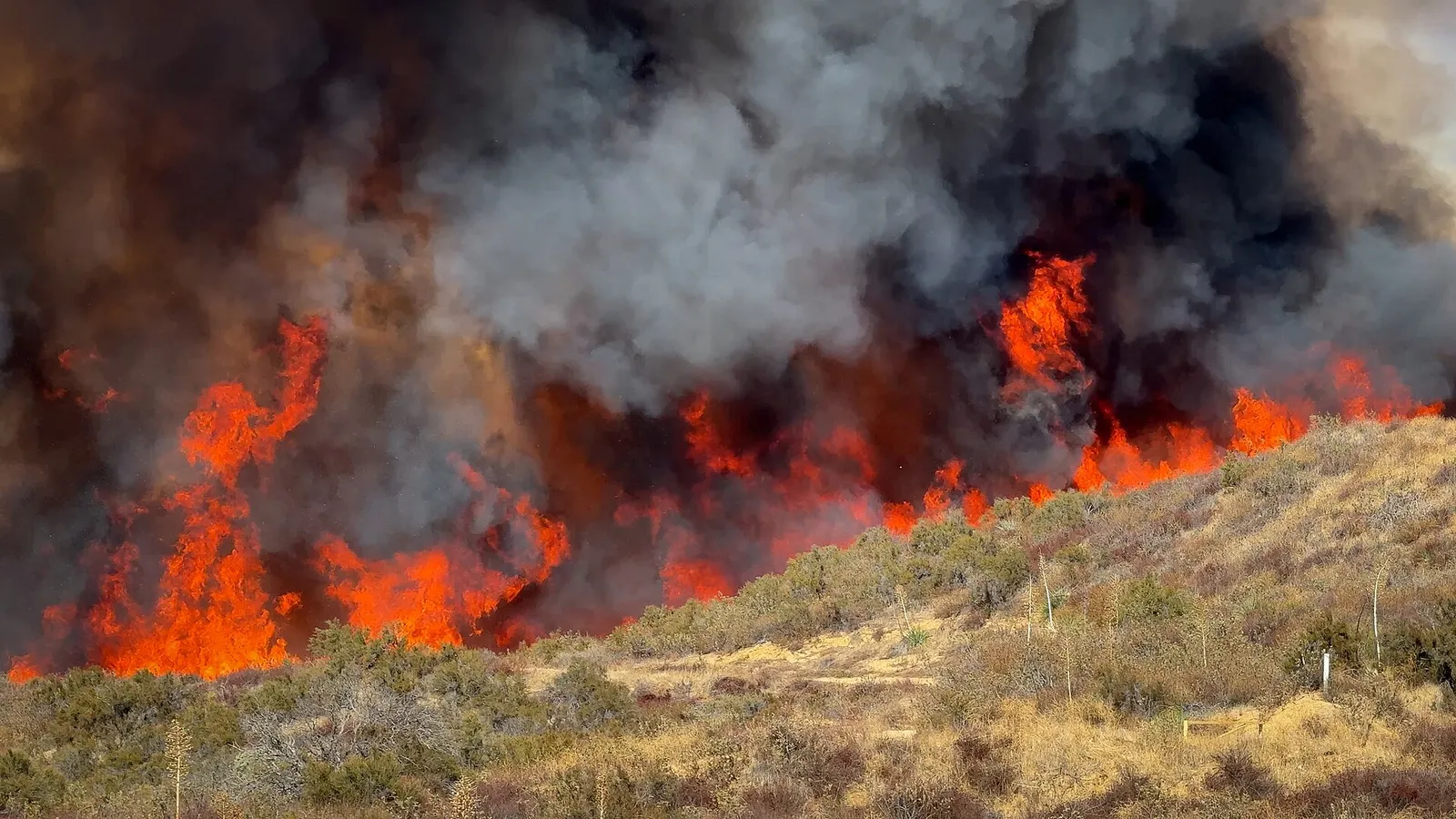 Un incendio forestal con bomberos trabajando entre el humo
