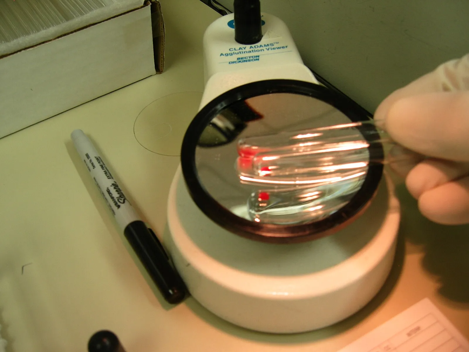 Tubos de muestras de sangre para análisis en un laboratorio