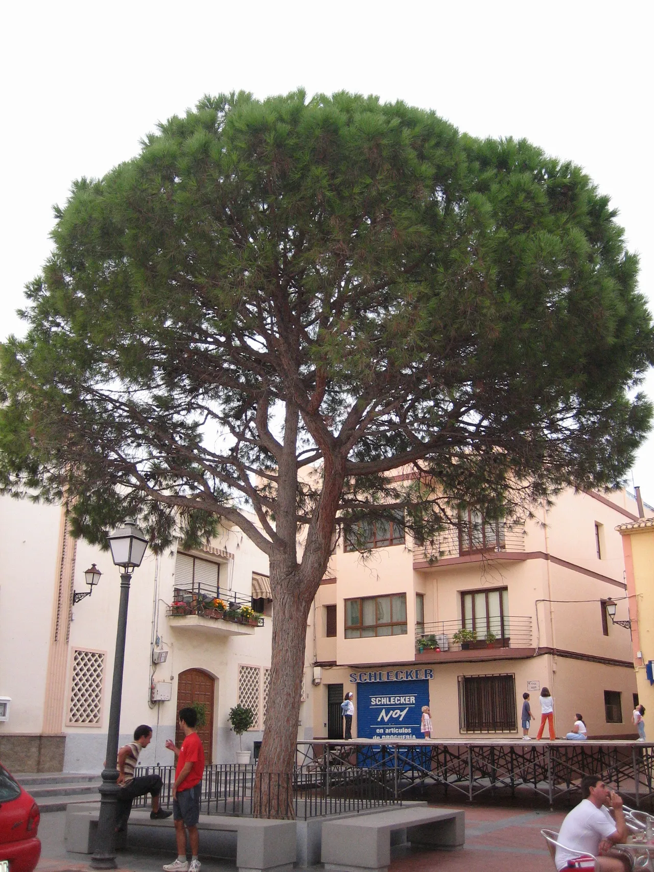 La plaza mayor de L'Alfàs del Pi, en Alicante
