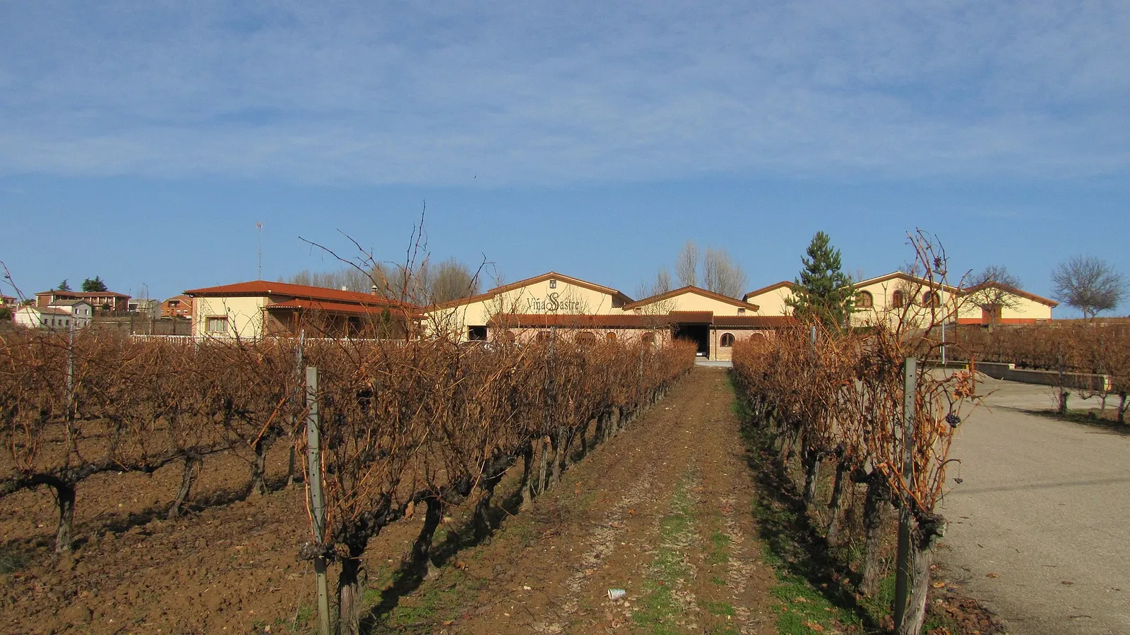 Viñedos en la Ribera del Duero (imagen de archivo)